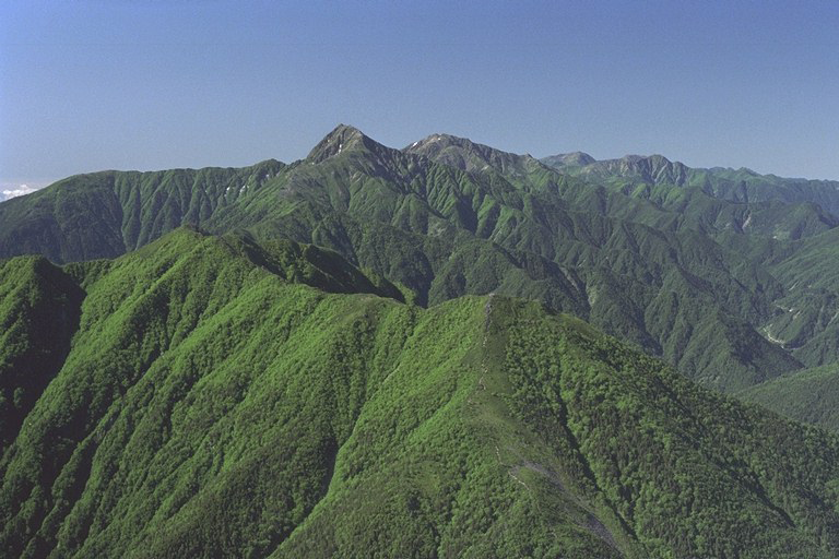 福祉・環境警備業務